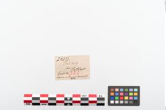 Etiketten zu Eisenklappmesser (NHMW-PRAE-024371)